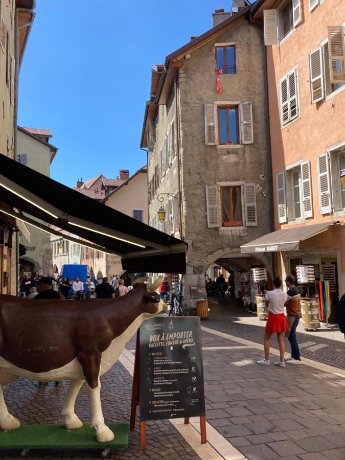 Apartamento 2 Pieces cosy Annecy Exterior foto